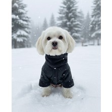 Feyza Design Füme Renk Boğazlı Kalın Içli Köpek Montu, Rahat ve Şık Tasarım