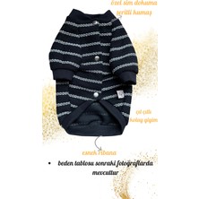 Feyza Design Şık Simli Şeritli Köpek ve Kedi Tasarımı, 2024 Koleksiyon