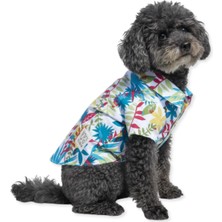 Feyza Design Renkli Tropik Desenli Köpek Gömleği, Şık ve Rahat Tasarım