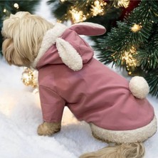 Feyza Design Sevimli Pembe Tavşan Desenli Evin Için Renkli Köpek ve Kedi Tunikleri