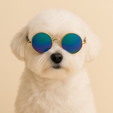 Feyza Design Şık Köpek ve Kedi Gözlüğü, Yuvarlak Model, Pet Aksesuarleri