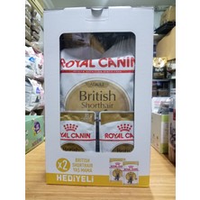 SY Royal Canin British Shorthair Yetişkin Kedi Maması 2 kg + 2 Adet British Shorthair Yaş Mama Hediye