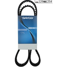 Dayco Mtxdpn Triger Kayişi 129X254 Ford Focus Mondea Connect 1.8 16V 02 Mazda CT978