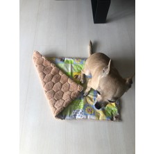 Feyza Design Çift Taraflı Welsoft Peluş Yıkanabilir Kedi ve Köpek Battaniyesi (50X30, 75X90)