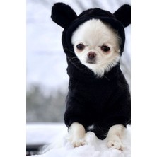 Feyza Design Sıcak ve Şık Köpek Polar Sweatshirt, Konforlu ve Trend Tasarım