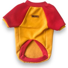 Feyza Design Renkli ve Rahat Köpek Sweatshirt, Şık ve Konforlu Tasarım