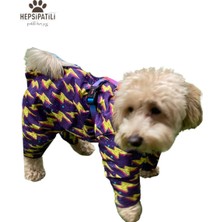 Feyza Design Renkli Küçük Irk Köpek Yağmurluk Tulumu, Hafif ve Rahat Tasarım
