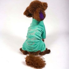 Feyza Design Rahat ve Şık Mint Smile Tulum, Küçük ve Orta Irk Köpekler Için Ideal