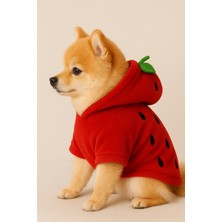 Feyza Design Çilek Desenli Polar Hoodie, Kapüşonlu Kedi ve Köpek Için Rahat Giyim