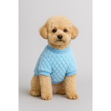 Feyza Design Yumuşak Peluş Ayıcık Köpek ve Kedi Kazak, Minik Dostlarınız Için Şık ve Sıcak!