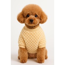 Feyza Design Sevimli Peluş Ayıcık Köpek ve Kedi Kazakları, Şık ve Sıcak Tasarım