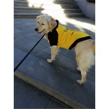 Feyza Design Rahat ve Şık Fermuarlı Kapşonlu Sweatshirt, Günlük Kullanım Için Ideal