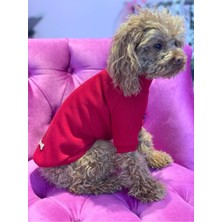 Feyza Design Yumuşak ve Rahat Triko Boğazlı Köpek ve Kedi Için Moda Kıyafeti