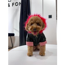 Feyza Design Seçkin Tasarım Kapüşonlu Köpek Montu, Su Geçirmez, Tüylü ve Astarlı