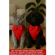 Feyza Design Sevimli Köpek ve Kedi Atletleri, Renkli ve Rahat Tasarım