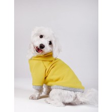 Feyza Design Renkli ve Rahat Küçük ile Orta Irk Sweatshirt, Şık ve Kullanışlı Tasarım
