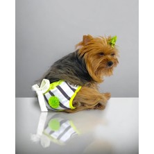 Feyza Design Yumuşak ve Konforlu Köpek Iç Çamaşırı, Regl Dönemine Özel Tasarım