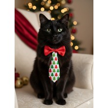 Feyza Design Sevimli Kedi ve Köpek Papyonlu Tasma, Şık ve Rahat Tasarım