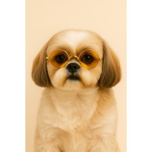 Feyza Design Şık Köpek ve Kedi Gözlüğü - Yuvarlak Tasarım Pet Aksesuarı