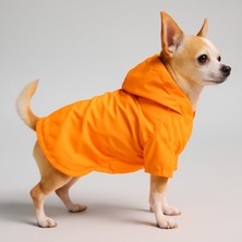 Feyza Design Renkli File Detaylı Hafif Yağmurluk, Şık ve Pratik Dış Giyim Ürünü