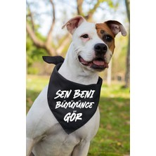 Feyza Design Neşeli Yazı Baskılı Köpek Fular Bandana, Şık ve Renkli Köpek Aksesuarı