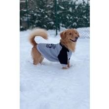 Feyza Design Rahat ve Sıcak Iç Polar Kapüşonlu Sweatshirt, Günlük Kullanım Için Ideal