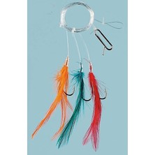 Fladen Sabıkı, Renkli Tüylü, N.1, 6'lı