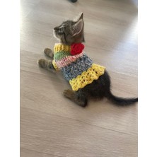 Feyza Design Renkli Örme Pati Kedi Köpek Elbise, Şık ve Rahat Tasarım