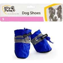 Feyza Design Renkli ve Rahat Evcil Hayvan Ayakkabısı, Konfor ve Şıklık Sunar