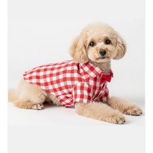 Feyza Design Yazlık Kareli Köpek ve Kedi Gömlekleri Yeni Renk Seçenekleriyle