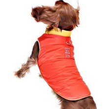 Feyza Design Turuncu Renkli Köpek Mont, Rahat ve Şık Tasarım, Sevgiyle Tasarlandı