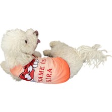 Feyza Design Kişiselleştirilebilir Kalpli Kedi ve Köpek Elbisesi, Tatlı ve Şık Tasarım