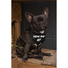 Feyza Design Renkli Yazı Baskılı Köpek Fular Bandana, Sevimli ve Şık Tasarım