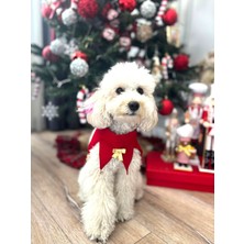 Feyza Design Yılbaşı Köpekler Için Renkli ve Eğlenceli Aksesuarlar