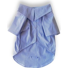 Feyza Design Şık Lacivert Çizgili Köpek Gömleği, Rahat ve Tarz Sahibi Tasarım