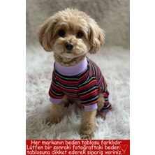 Feyza Design Renkli Çizgili Kedi ve Köpek Tulum, Şık ve Rahat Tasarım