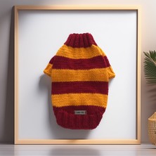 Feyza Design Sarı ve Kırmızı Çizgili Kedi ve Köpek Taraftar Kazaklı Şık ve Rahat Tasarım