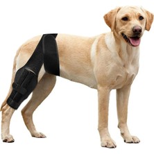 Feyza Design Köpek Bacak Koruma Bandajı, Rehabilitasyon ve Destek Için Kullanışlı Ürün