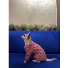 Feyza Design Yumuşak Peluş Kışlık Köpek Kazağı, 1-4 Kg, Rahat ve Şık Tasarım