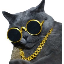 Feyza Design Sevimli Kedi ve Köpekler Için Renkli Gözlük ve Kolye Takım Seti