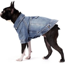 Feyza Design Orta Kar Yıkama Denim Köpek Ceketi, Şık ve Rahat Tasarım