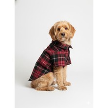 Feyza Design Şık ve Rahat Köpek Gömleği, Günlük Kullanım Için Mükemmel Seçenek