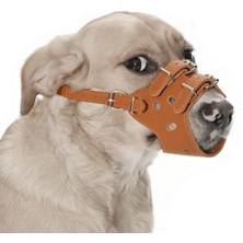 Feyza Design Konforlu Ayarlı Köpek Ağızlık, Güvenli ve Havalı Tasarım