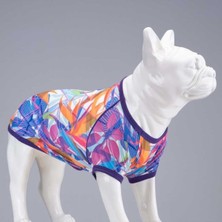 Feyza Design Renkli Köpek Tişörtleri, Uzun ve Kısa Boy Seçenekleriyle Rahat Giyim