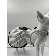 Feyza Design Sevimli Köpek ve Kedi Elbise Seti, Şık Takım ve Smokini