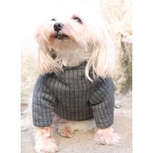 Feyza Design Kışlık Kapitone Köpek Sweatshirt, Antrasit Kapüşonlu ve Rahat Tasarım