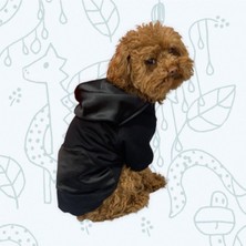 Feyza Design Içlik ve Sweatshirt Kombini, Rahat ve Sıcak Tutar, Yumuşak Kumaş