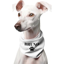 Feyza Design Isme Özel Renkli Köpek Fular ve Bandana, Şık ve Rahat Tasarım