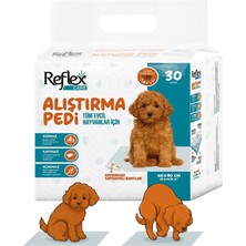 Feyza Design Yumuşak ve Konforlu Alıştırma Pedi 60X90 Cm, 10'lu Paket