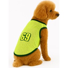 Feyza Design Küçük Irk Neon Kedi ve Köpek Atleti, 1-10KG, Şık ve Rahat Tasarım